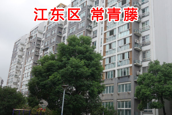 常青藤小区（共71套）