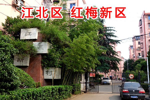 红梅新村348弄18号（49幢）708室