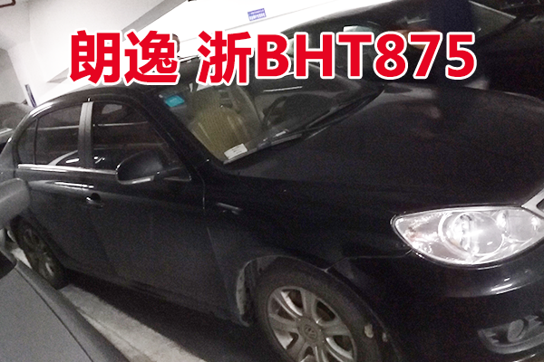 浙BHT875朗逸牌小型轿车壹辆