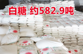 海关涉案财物 — 白糖一批（约582.9吨）（淘宝拍卖，成交价293.16万元）