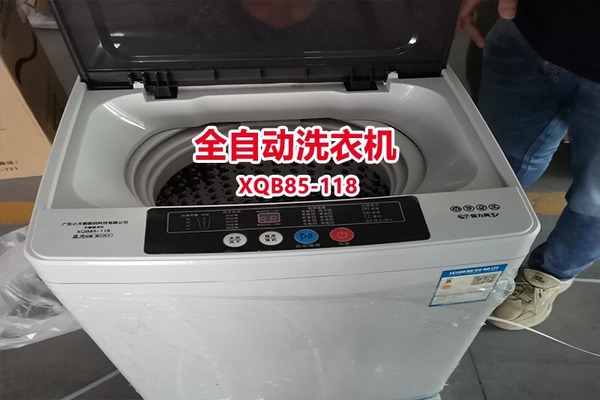 序号06：全自动洗衣机 XQB85-118