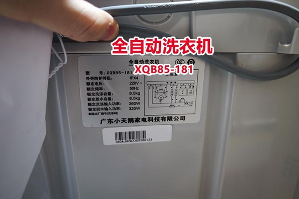 序号07：全自动洗衣机 XQB85-181