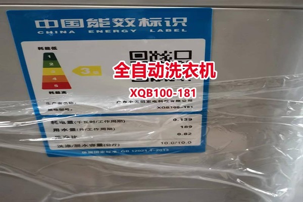 序号08：全自动洗衣机 XQB100-181