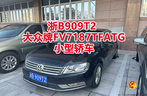 序号06：浙B909T2小型轿车