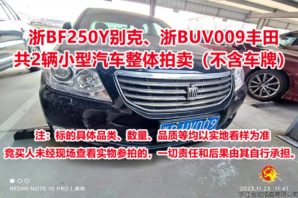 浙BF250Y别克、浙BUV009丰田，共2辆小型汽车整体拍卖（不含车牌）