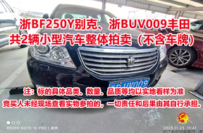 浙BF250Y别克、浙BUV009丰田，共2辆小型汽车整体拍卖（不含车牌）