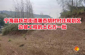 宁海县跃龙街道屠岙胡村村庄规划区边坡工程的土石方一批