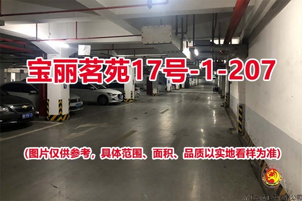 序号134：宝丽茗苑17号-1-207