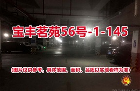 序号101：宝丰茗苑56号-1-145