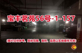 序号110：宝丰茗苑56号-1-157