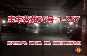 序号195：宝丰茗苑56号-1-257