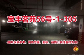 序号237：宝丰茗苑56号-1-305