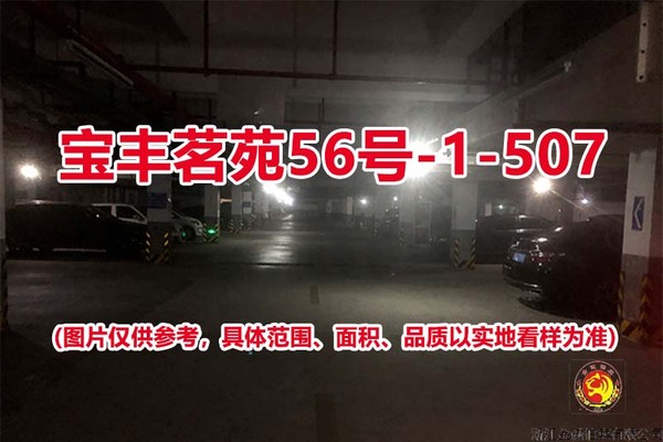 序号425：宝丰茗苑56号-1-507