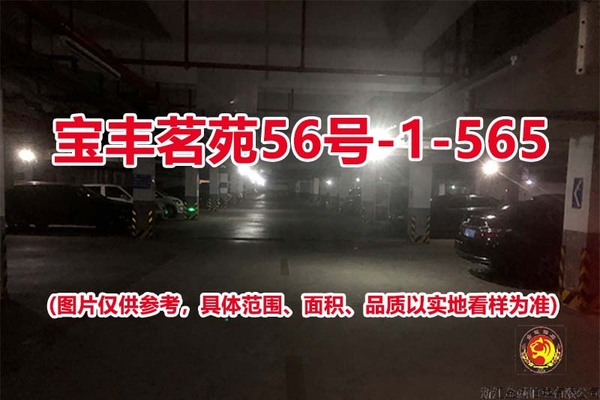 序号481：宝丰茗苑56号-1-565