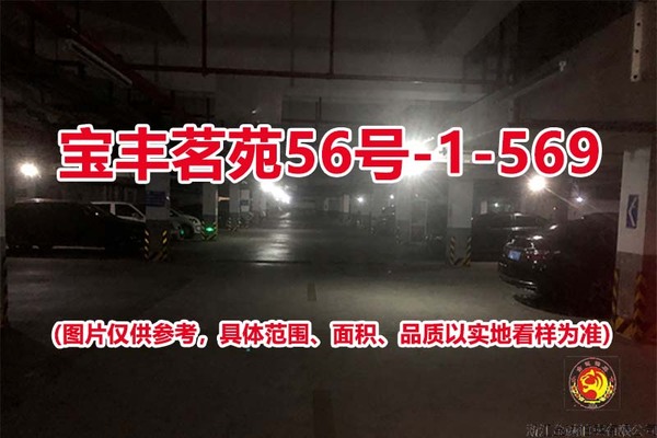 序号485：宝丰茗苑56号-1-569