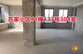 序号07：苏家小区41幢137号304室