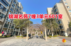 序号14：锦湖名苑7幢3单元601室