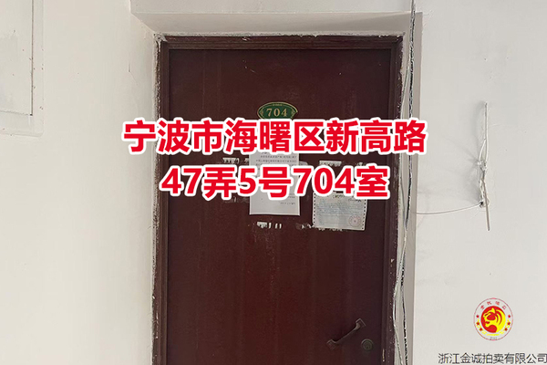 序号08：宁波市海曙区新高路47弄5号704室