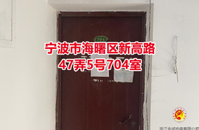 序号08：宁波市海曙区新高路47弄5号704室