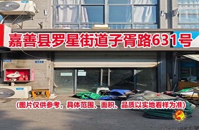 序号08：嘉善县罗星街道子胥路631号