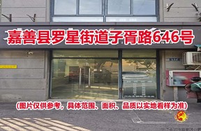 序号09：嘉善县罗星街道子胥路646号