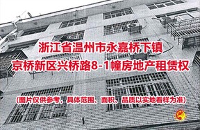 浙江省温州市永嘉桥下镇京桥新区兴桥路8-1幢房地产租赁权