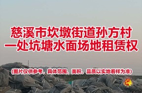 慈溪市坎墩街道孙方村一处坑塘水面场地租赁权
