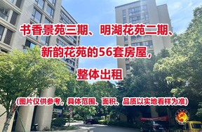 序号01：书香景苑三期、明湖花苑二期、新韵花苑的56套房屋（整体出租）