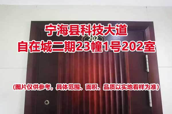 序号01：宁海县科技大道自在城二期23幢1号202室