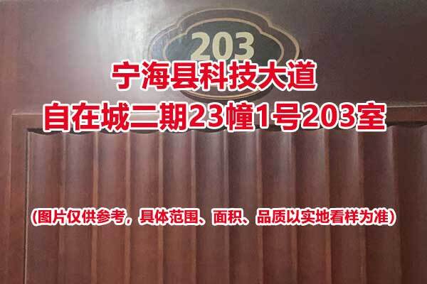 序号02：宁海县科技大道自在城二期23幢1号203室
