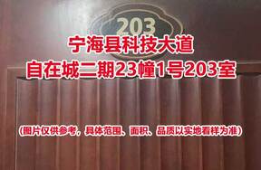 序号02：宁海县科技大道自在城二期23幢1号203室