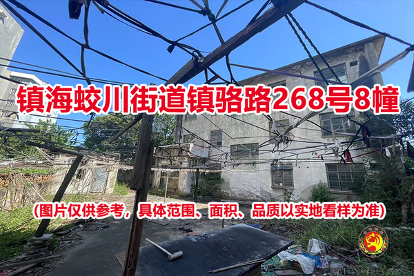 序号01：镇海蛟川街道镇骆路268号8幢