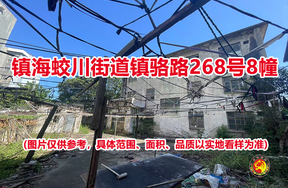 序号01：镇海蛟川街道镇骆路268号8幢