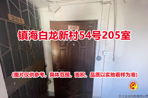 序号03：镇海白龙新村54号205室