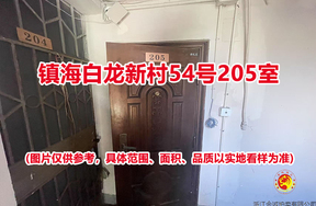 序号03：镇海白龙新村54号205室