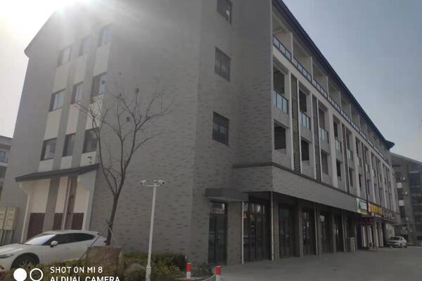位于嘉善县西塘镇平川商贸中心二期4号楼(2-4层)公寓房(第一次)