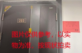 序号11：璞丽府小区，洋房9-203，136.26㎡