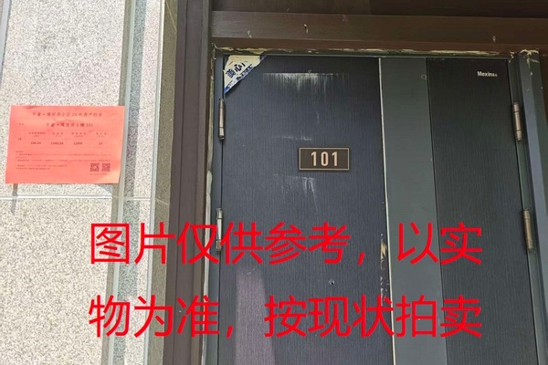 序号12：璞丽府小区，排屋5-101，254.54（含地下储藏室面积57.43）㎡