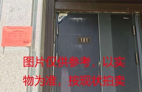序号12：璞丽府小区，排屋5-101，254.54（含地下储藏室面积57.43）㎡
