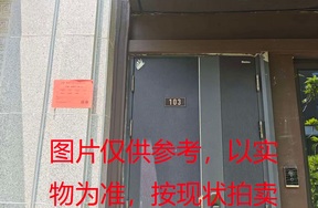 序号14：璞丽府小区，排屋5-103，258.25（含地下储藏室面积61.88）㎡