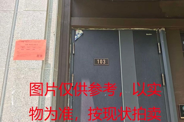 序号18：璞丽府小区，排屋6-103，258.09（含地下储藏室面积61.72）㎡