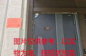 序号18：璞丽府小区，排屋6-103，258.09（含地下储藏室面积61.72）㎡