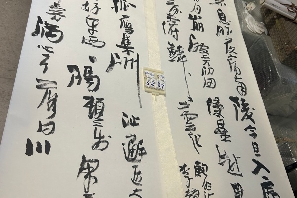 序号68，评估编号15207，
作者：李静
作品：鲍照诗：轻鸿戏江……