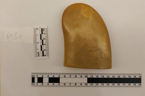 序号24，16050，周炳元：百龙图徽刻印章，评估价7000元