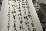 序号45，评估编号15169，
作者：周慧珺
作品：辛弃疾诗：陌上柔条……