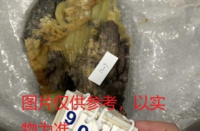 序号32，石头摆件4，评估价20000元