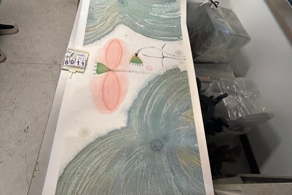 序号77，编号18011，
作者：陈家泠
作品：花鸟图