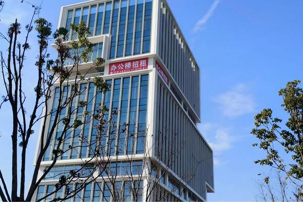 桐乡市梧桐街道世大道2256号2 幢 3 层租赁权拍卖