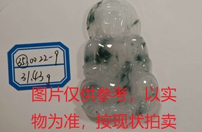 序号35，评估编号：QT220390022-9，翡翠挂件
