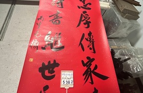 序号177，编号15382，
作者：范扬
作品：行书五言对联